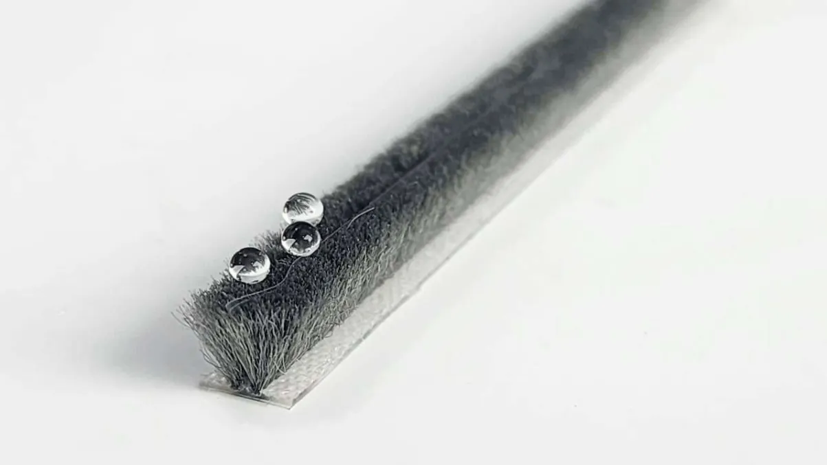 TRANSPARENT (PP) FIN PILE WEATHER STRIP [TN FIN SL UV]